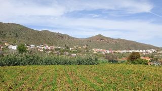 GC-Valsequillo 2026-074.jpg